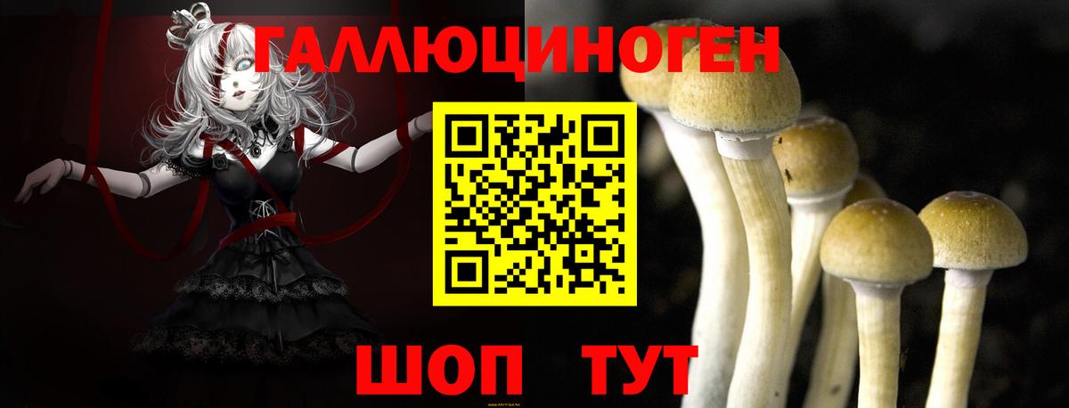 Псилоцибиновые грибы Magic Shrooms Канаш